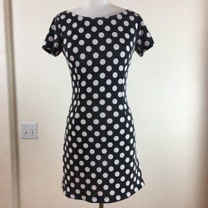 ZARA BASIC Polka Dot Dress